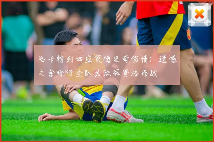 洛卡特利回应莫德里奇伤情：遗憾之余呼吁全队为欧冠资格而战