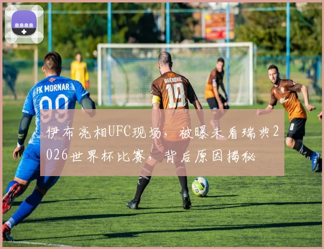 伊布亮相UFC现场，被曝未看瑞典2026世界杯比赛，背后原因揭秘